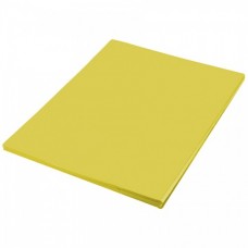 FOAMY ESTANDAR CARTA AMARILLO CANARIO       C/24     [C10]