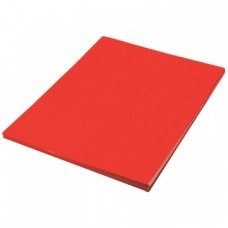 FOAMY EXTENDIDO 60 X 45 C/10 ROJO                     [E1 C20]