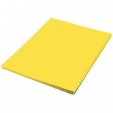 FOAMY EXTENDIDO 60 X 45 C/10 AMARILLO CANARIO        [E1 C20]