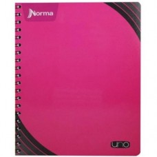 CUADERNO NORMA PROFESIONAL UNO   DO  C.7     100 HS         [E25]