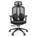 SILLA EJECUTIVA ORGANIC C/BRAZOS MESH Y TELA NEGRA BASE NEGRA PZA